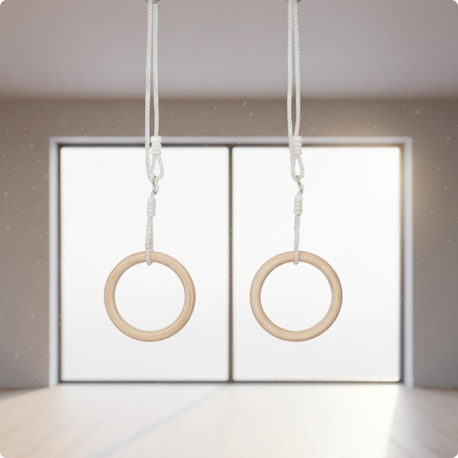 Anelli da Ginnastica Regolabil - Gymnastic Ring recensione e prezzo